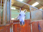 HARS dans Yonne 1 H 30 de Paris