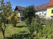 Hart bei Graz Gepflegte Garconniere mit Gartenbenützung...