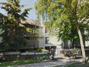 Harwood Apartments 1 Bedroom Apartment for Rent at 1122...