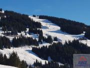 Haus für Großfamilie oder Anleger!