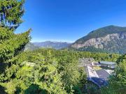 Haus in einer grünen Oase