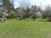Haus kaufen Am Mellensee Wohnen und Leben am See in