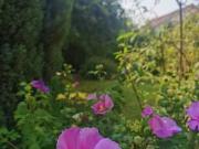 Haus kaufen Backnang Freistehend und mit großem Garten