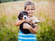 Haus kaufen Braunschweig Erleben Sie urbanen Luxus