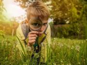 Haus kaufen Braunschweig Wohlfühloase für die ganze Familie. Haus kaufen Braunschweig Wohlfühloase für die ganze Familie.