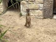 Haus kaufen Buchholz SECRET SALE, Reihenhaus, guter Zustand