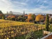 Haus kaufen Edenkoben Doppelhaushälfte mit Rietburgblick r.