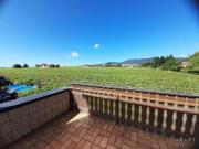 Haus kaufen Edenkoben Doppelhaushälfte mit Rietburgblick r.