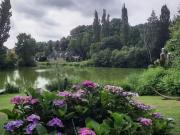 Haus kaufen Lüneburg Renditeobjekt oder zur Eigennutzung V.