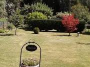 Haus kaufen Neuruppin RESERVIERT Gartengrundstück mit Holz.