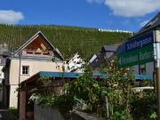 Haus kaufen Rheinland Pfalz Kinheim Einzigartiges Winzerha.