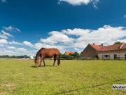 Haus kaufen Valwig Landwirtschaftliches Anwesen/Pferdehof