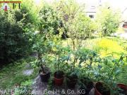 Haus kaufen Weinstadt Bestlage Einfamilienhaus mit Einlie.