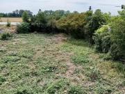 Haus kaufen Worms Handwerker aufgepasst! Einfamilienhaus mi.