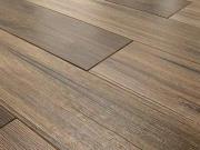 Haus mit 2 Schlafzimmer Graz 8055 DS100422081