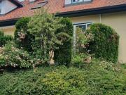 Haus mit 5 Schlafzimmer Wien 1130 DS95015967