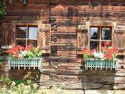 Haus mit 6 Schlafzimmer Ellmau 6358 DS97970394