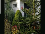 Haus Reihenhaus verkauf ohne Makler von Privat