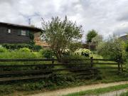 Häuschen im Grünen