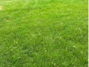 Haushälfte mit 2 Zimmer 60qm + Garten *Whirlpool* Haus