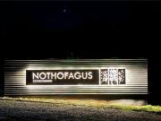 Hauslink Vende Últimas 6 Parcelas En Fabuloso Loteo Ñancul