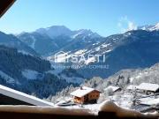 Hauteluce 73620 Achat / Vente appartement 3 pièces t3...