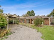 HAVEN IN HOMER COURT