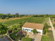 Havre de paix en pleine camargue Havre de paix en pleine camargue