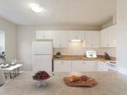 Hawk Suites One Bedroom [object Promise] for Rent