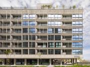 Haya | Cobertura Incrível