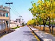 Hayatabad Peshawar, plots for sale Peshawar ID 03242