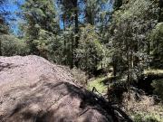 Haz Realidad Ese Lugar Que Siempre Has Imaginado...