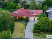 Heartwarming Memories Await