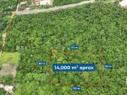 Hect?rea en Barra de Cuatunalco, Oaxaca