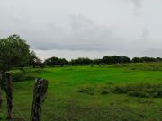 Hect?reas en venta, Ant?n Lizardo, Veracruz