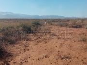 Hectare milkiya prix intéressant