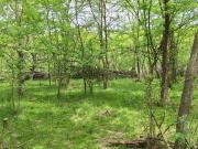 HECTAREA DE CAMPO EN MARCOS PAZ