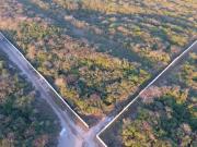 HECTAREA EN VENTA EN VERACRUZ EN ZONA NORTE CERCA DE LA...