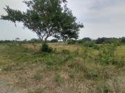 Hectárea en Venta en Veracruz, Paso del Toro a 500 m...