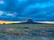 HECTÁREAS DE SIEMBRA EN VENTA, MUNICIPIO DE GONZÁLEZ,...