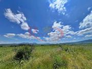 Hectareas en venta Camino a Bocas, cerca del poligono...