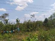 HECTAREAS EN VENTA CANCN CON DOS FRENTES AUTOPISTA Y...