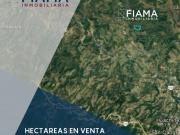 HECTAREAS EN VENTA EN EL POBLADO EL TRAPICHILLO, TEPIC CC