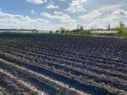HECTAREAS EN VENTA LA PLATA OLMOS
