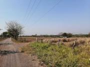 Hectáreas en Venta Veracruz Cuenta con 2 Bodegas Loc. El...