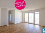 Heimeliger Neubau inmitten Wr. Neustadt Heimeliger Neubau inmitten Wr. Neustadt