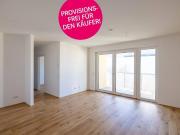 Heimeliger Neubau inmitten Wr. Neustadt Heimeliger Neubau inmitten Wr. Neustadt