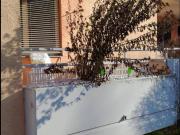 Helle2 Zimmer Erdgeschosswohnung mit Loggia