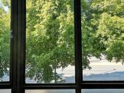 Helle 1,5 Zimmer Wohnung in Hainholz
