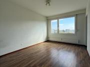 Helle 1.5 Zimmerwohnung im 7. Stock